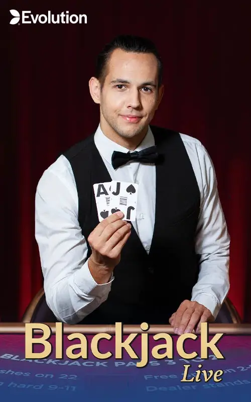 Blackjack VIP 11