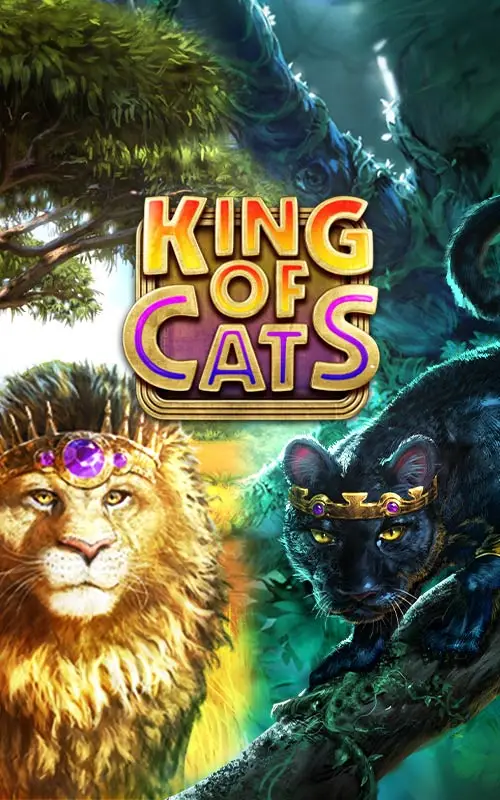 King of Cats