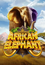 African Elephant
