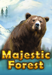 Majestic Forest