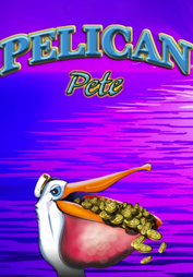 Pelican Pete