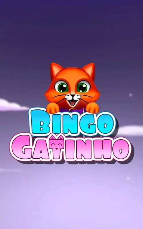 Bingo Gatinho